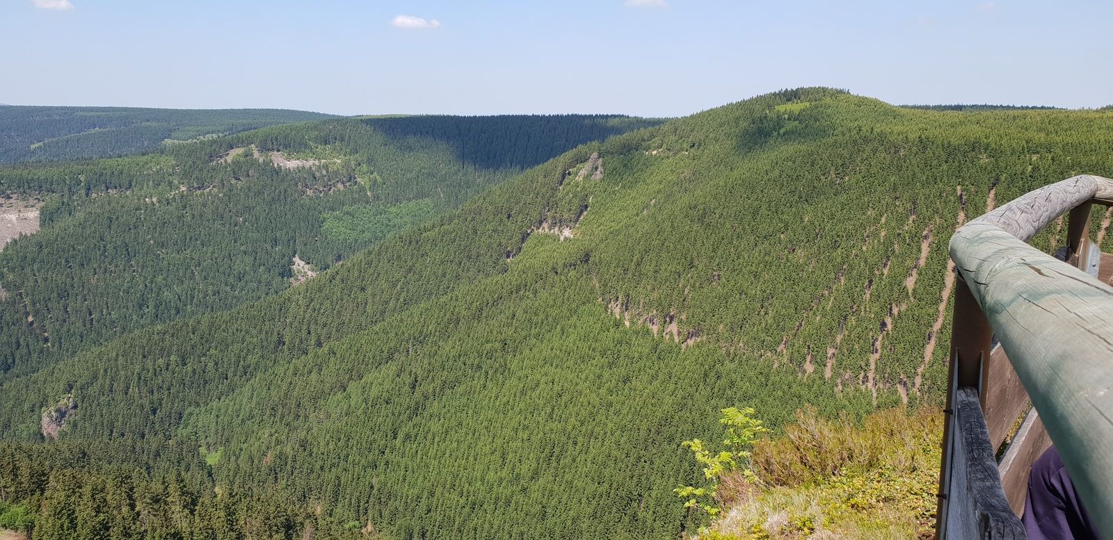 Umliegende Wälder Umliegende Wälder