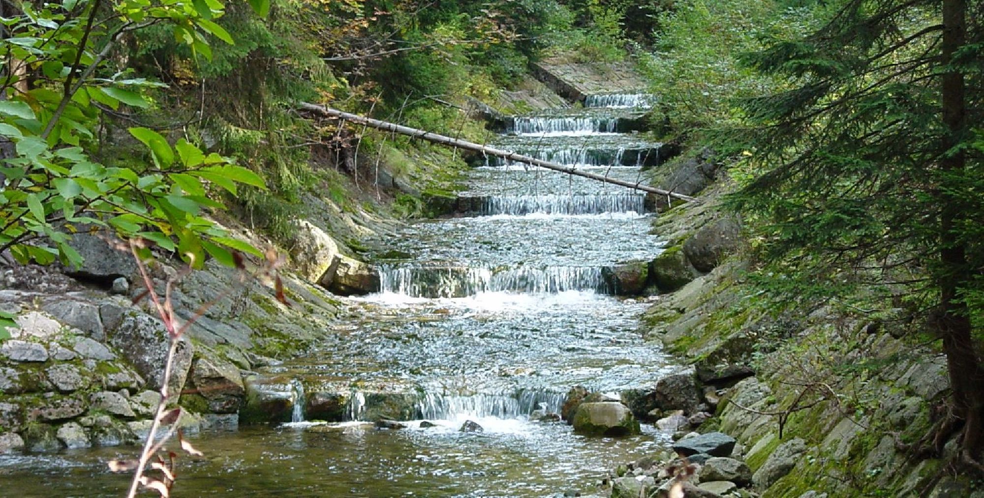 Bach im Riesengebirge